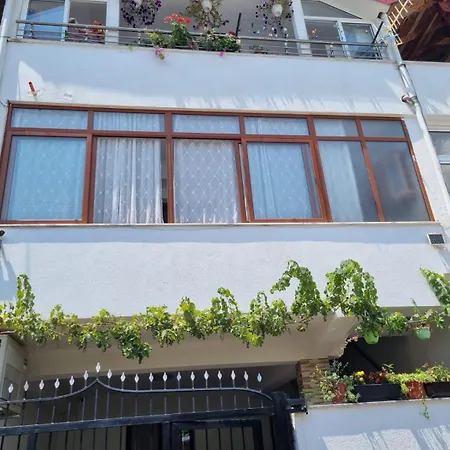 Shuli Apartment